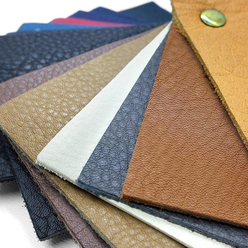 Leder FIedler may2018.jpg